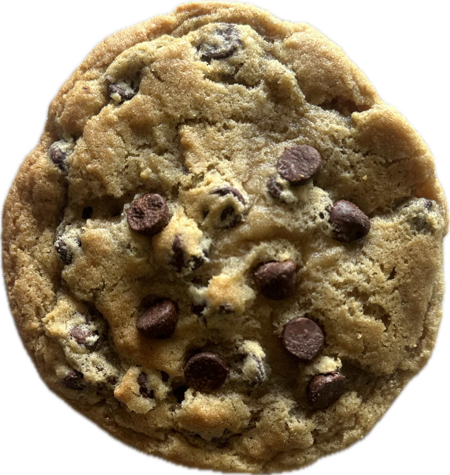 Chocolate Chip Cookie